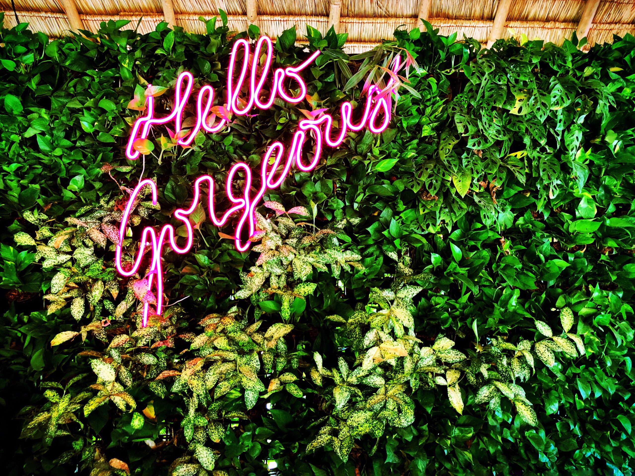 hello-gorgeous-pink-neon-sign-at-a-tropical-beac-